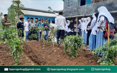 KEGIATAN GARUT EDUFARM CENTER (GEC) SUB CIGEDUG